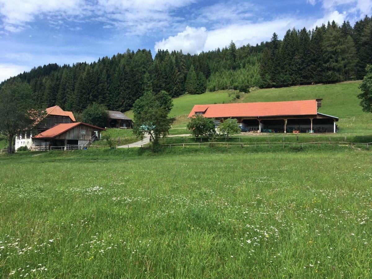 Urlaub Am Moarbauerhof Apartment Mühlen Екстериор снимка
